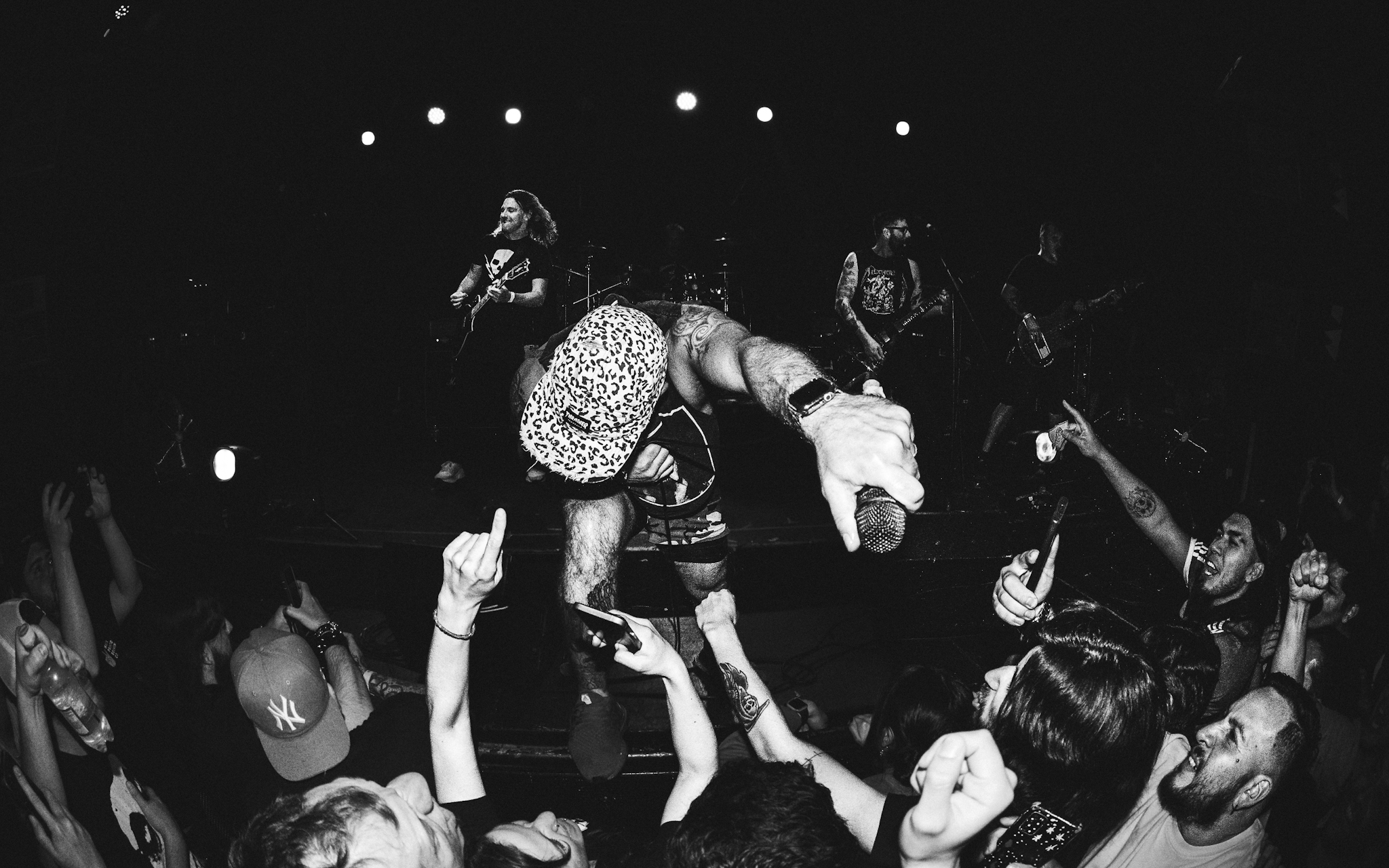 Face to Face - A Wilhelm Scream